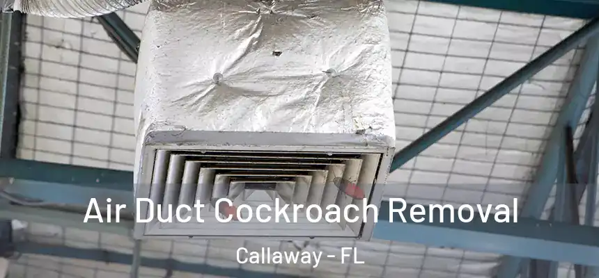 Air Duct Cockroach Removal Callaway - FL