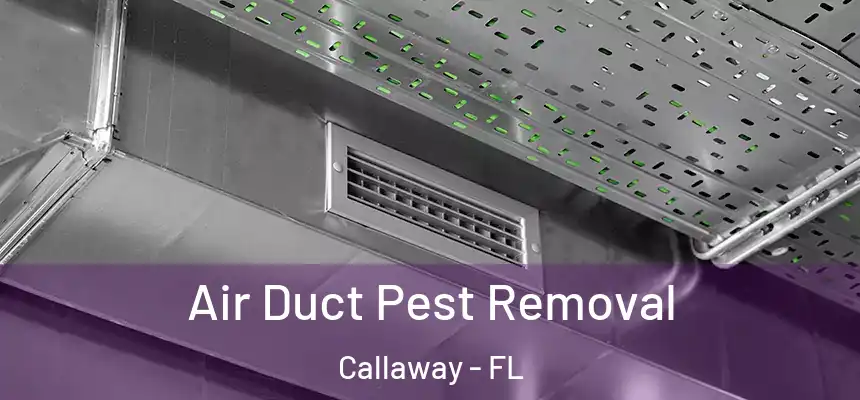 Air Duct Pest Removal Callaway - FL