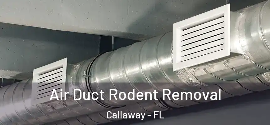 Air Duct Rodent Removal Callaway - FL