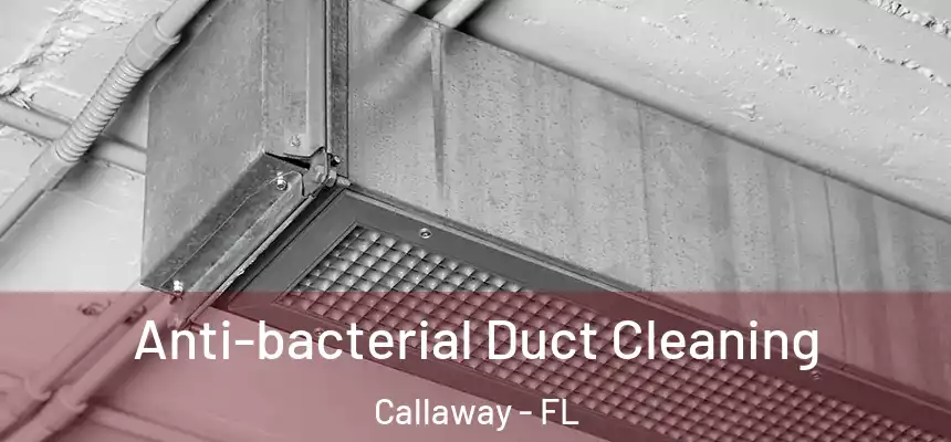 Anti-bacterial Duct Cleaning Callaway - FL