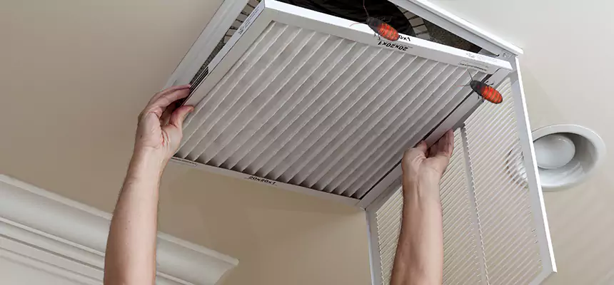 Preventive Cockroach-Proofing for Ducts in Callaway