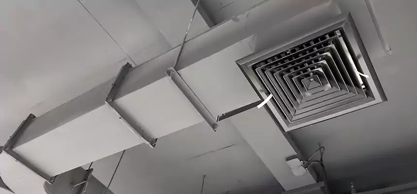 Restorative Allergy Relief Vent Cleaning – Coil, Blower & Housing Detail in Callaway