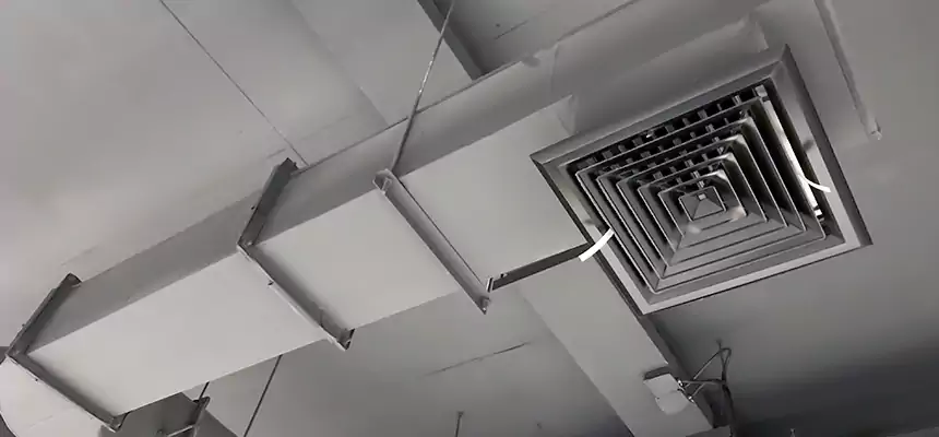 Our Pest Removal From Ducts Services in Callaway, FL