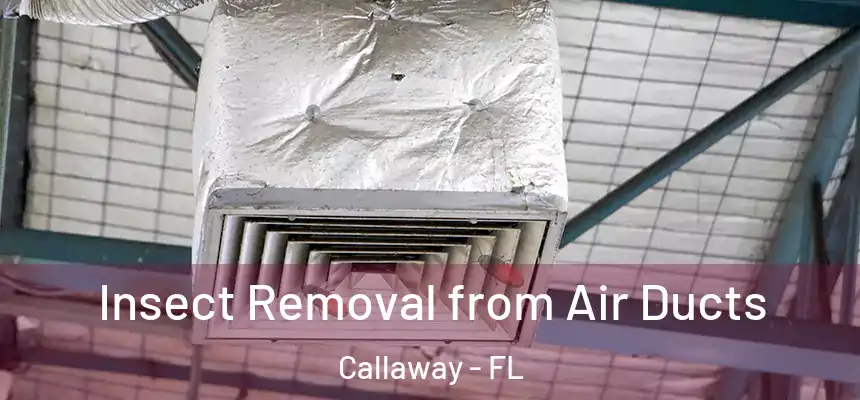 Insect Removal from Air Ducts Callaway - FL