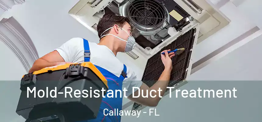 Mold-Resistant Duct Treatment Callaway - FL