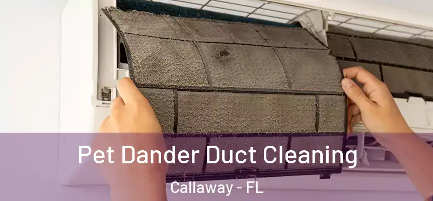 Pet Dander Duct Cleaning Callaway - FL