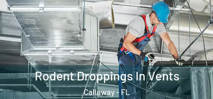 Rodent Droppings In Vents Callaway - FL