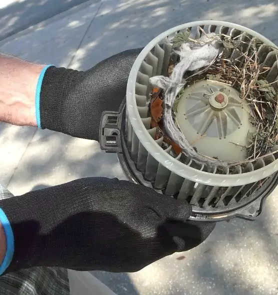 About Air Duct Rat Removal in Callaway, FL