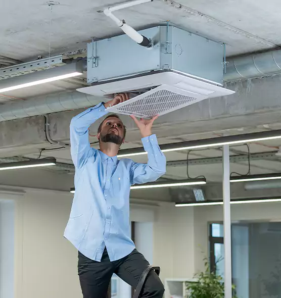 Advanced Rodent Droppings In Vents in Callaway, FL