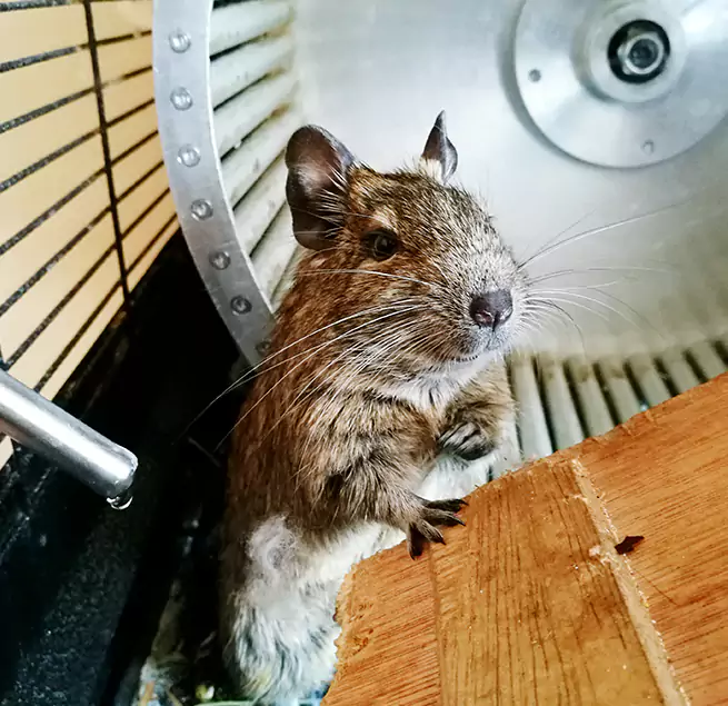 Why Homeowners & Businesses Trust Us Callaway, FL